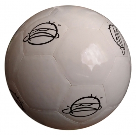 Badesports SoccerBall